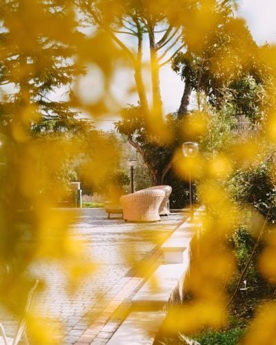 Bed & Breakfast AL 171 Hotel in Lazio