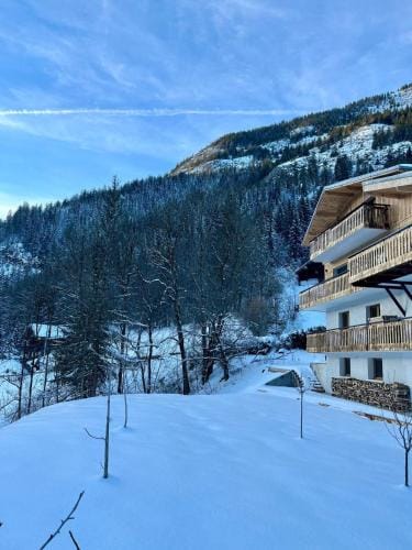 Chalet Flachaire Hotel in Haute-Savoie