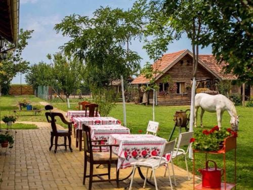 Pansion Sasin Salas 40m2 Hotel in Novi Sad