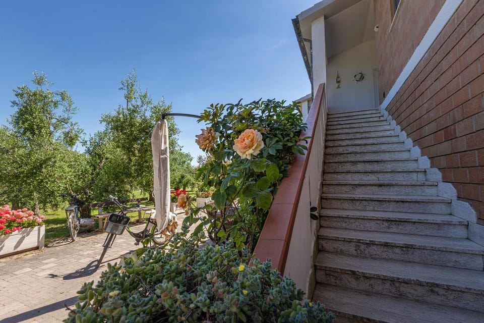 Agriturismo Gli Etruschi Hotel in Tuscany