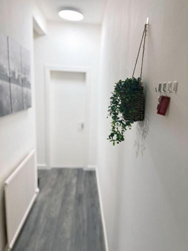King Apartment Hotel in Falkirk