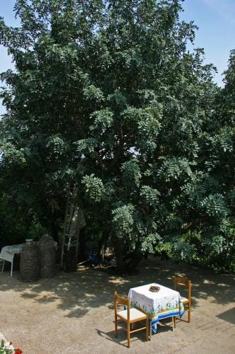 Twin Room Saplunara 4907b Hotel in Korita, Mljet