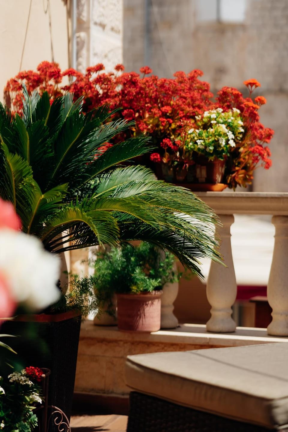 Old town Villa TROGIR STARS with free parking Hotel in Trogir