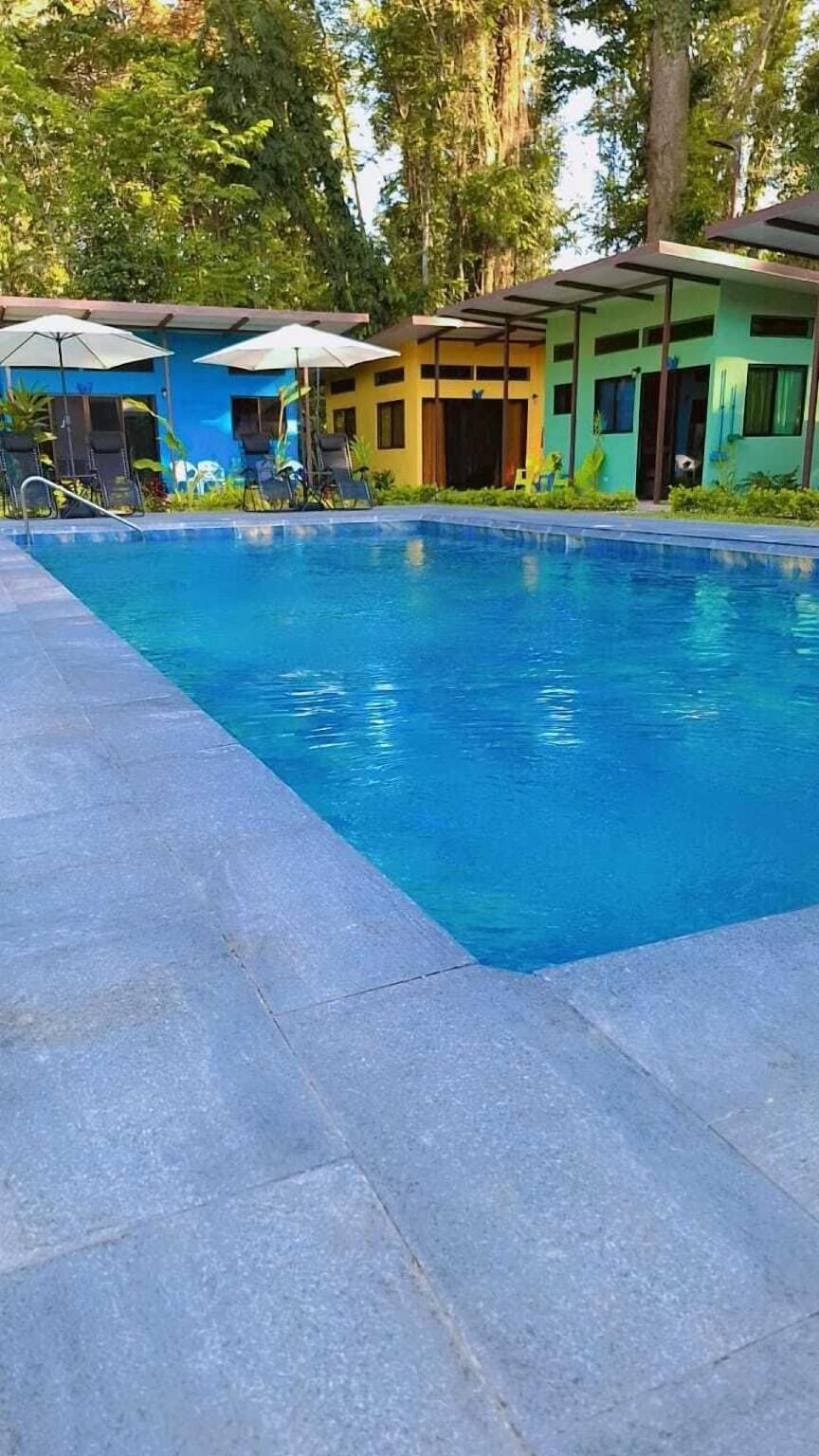 Caribbean Blue Morpho Hotel in Cahuita