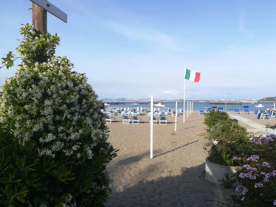 VILLA ISCLA maison d'hotes Hotel in Ischia