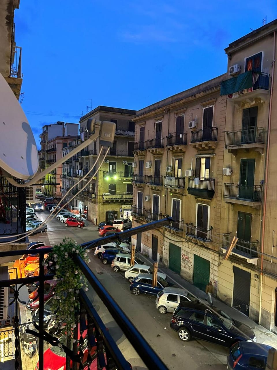 View