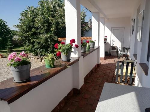 Casa Ago - Guest House Hotel in Timiș County