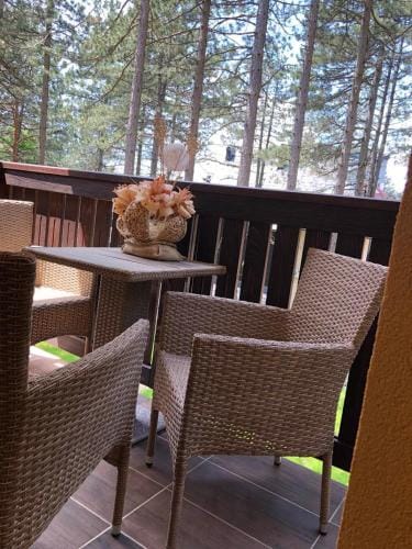 Zlatibor apartmani Jakovljevic Hotel in Zlatibor
