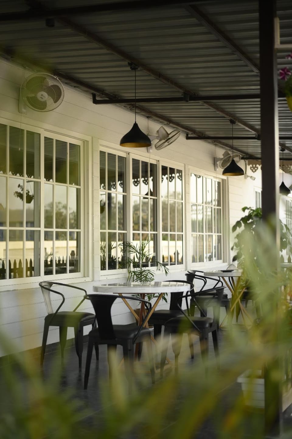 Purple Orchid Hotel Hotel in India