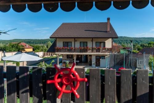 Pensiunea Gabriel Hotel in Dolj County, Romania