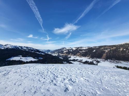 Allgau Apartments Hus 8 oder 9 Ferienzimmer mit Self-Checkin Hotel in Oberstdorf
