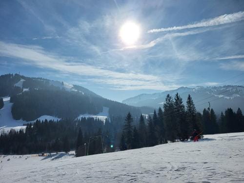 Allgau Apartments Hus 8 oder 9 Ferienzimmer mit Self-Checkin Hotel in Oberstdorf