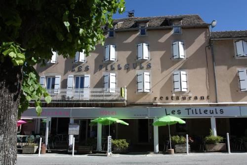 Hotel Les Tilleuls de Pareloup a Salles-Curan Hotel in Auvergne-Rhône-Alpes
