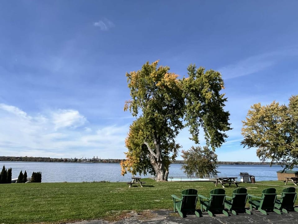 View