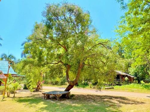 Abir Homestay Koh Yao Yai Resort in Krabi Changwat