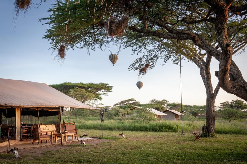 Gnu Ndutu Camp Lodge in Kenya