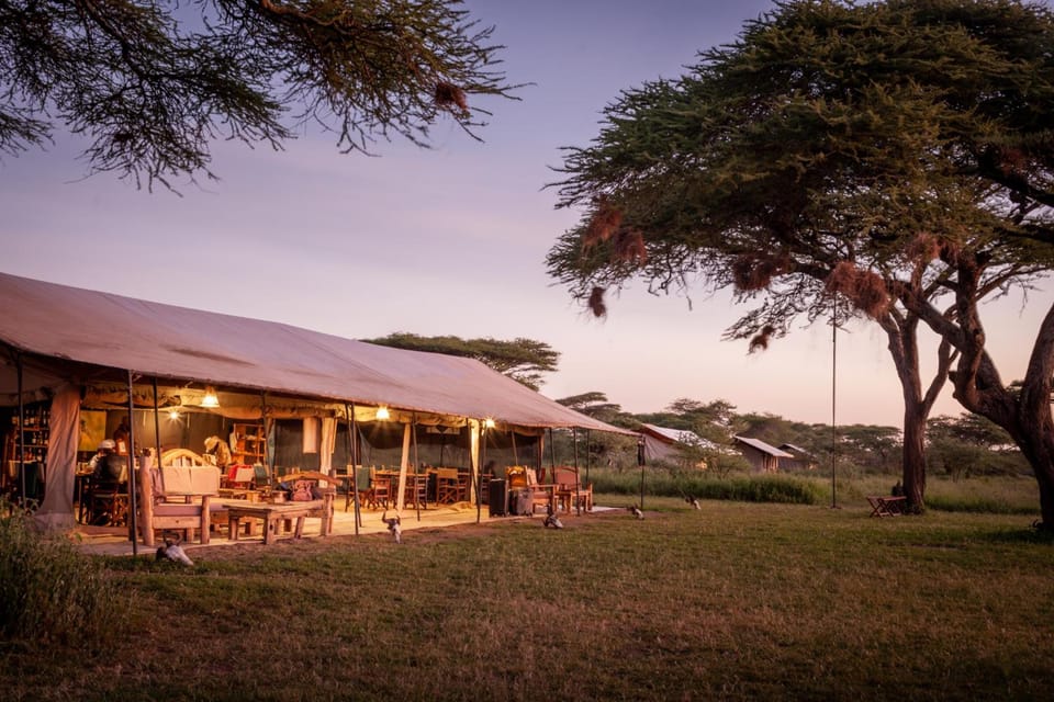 Gnu Ndutu Camp Lodge in Kenya