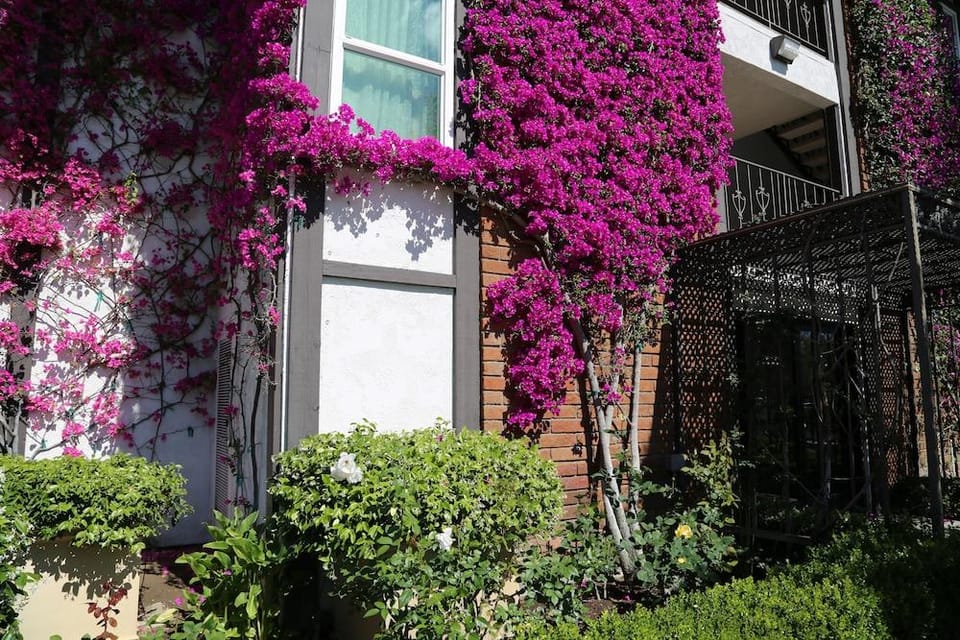 Laguna Hills Lodge - Hotel near Irvine Spectrum Hotel in Laguna Woods