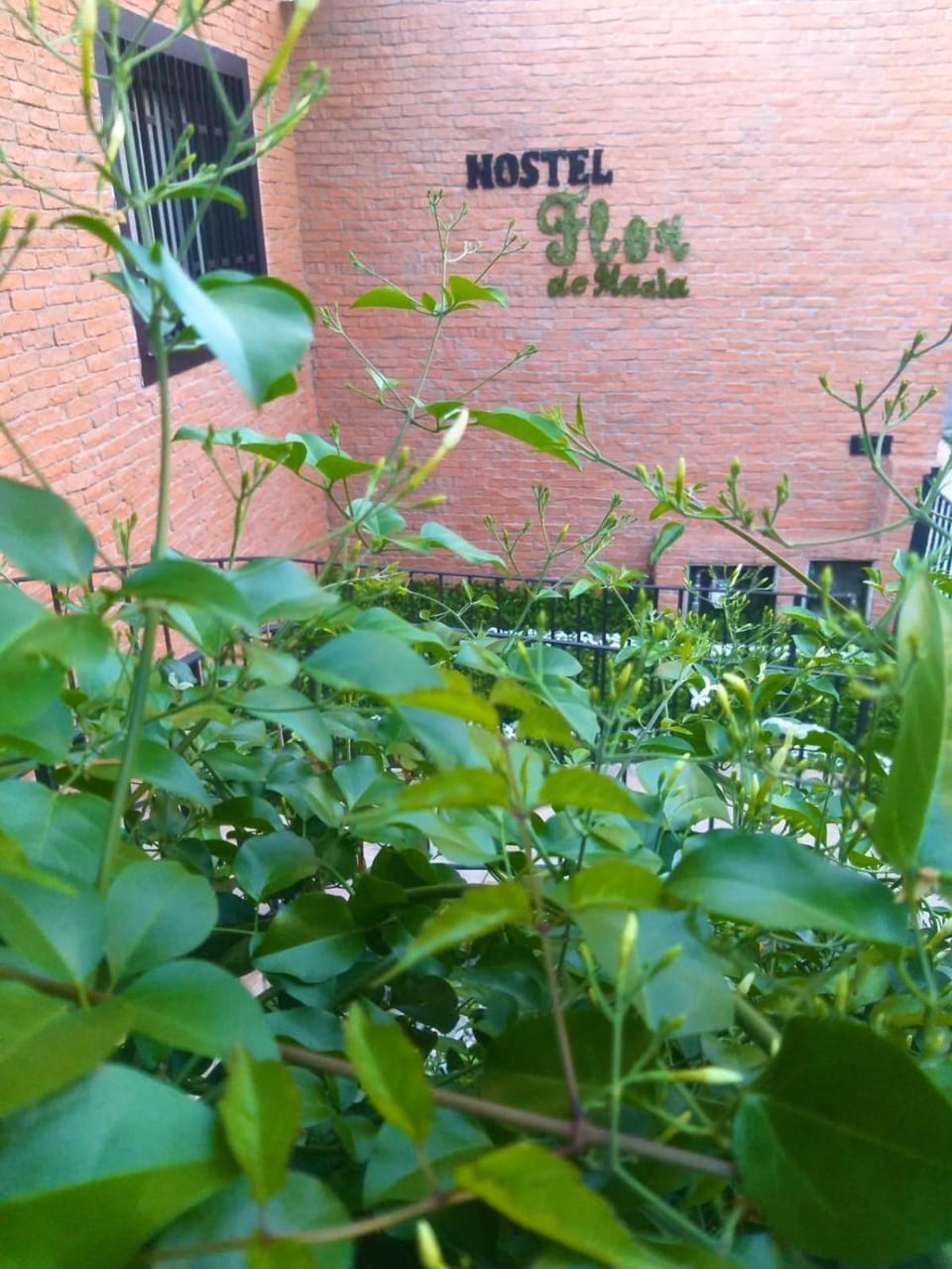 Hostel Flor de Maria Hostel in Sao Paulo City