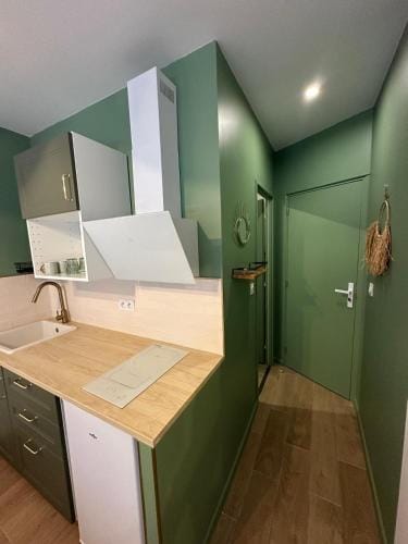 Suites Aronas-hebergements climatises rive droite plein centre ville Hotel in Le Grau-du-Roi