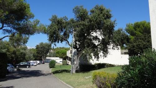 Appartement 5 personnes a St Raphael Hotel in Saint-Raphael