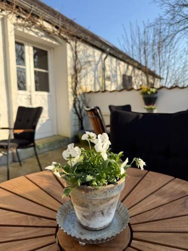 Digebjerggaard Bed & Breakfast Hotel in Svendborg