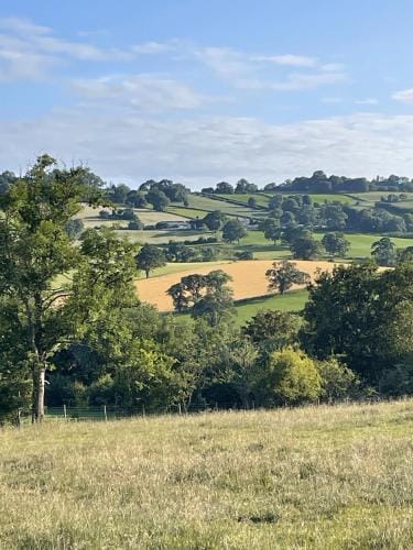 Lodge Farm B&B - a working farm Hotel in England