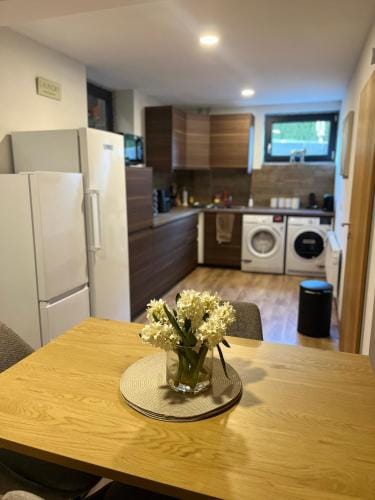 Luxury Chalet Suite suitable for 4 Guests, Living Room, Kitchen and Games Room Hotel in Carinthia, Austria