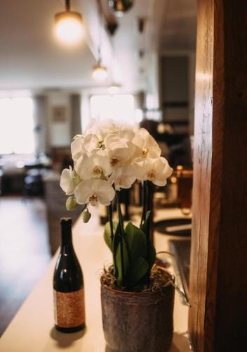 Gasthaus zum Lowen Hotel in Winterthur