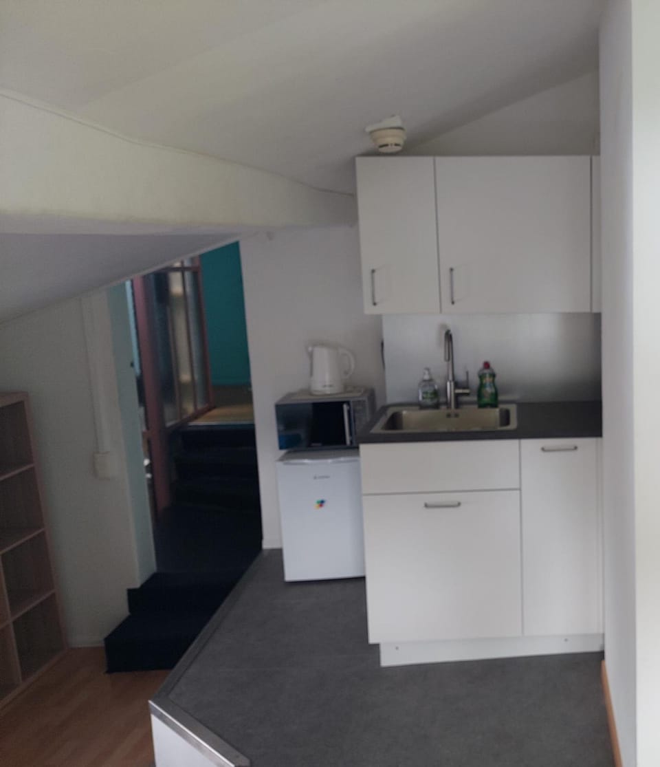 Oldtown Hostel Otter Hostel in Zurich City