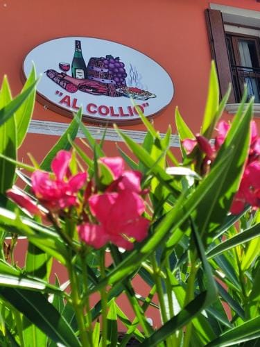 Hotel AL COLLIO Hotel in Friuli-Venezia Giulia