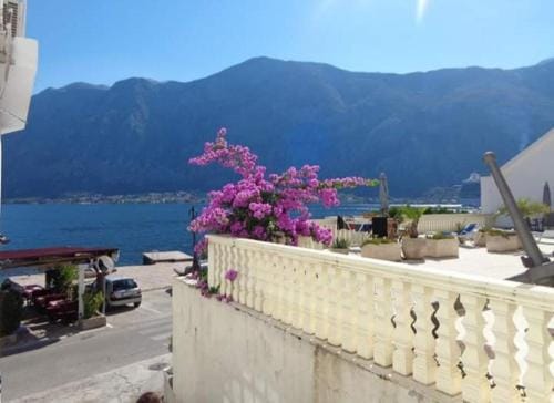 Apartments Vila Marija Hotel in Kotor Municipality