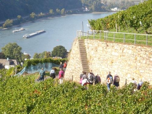 Hotel Gasthof Schuster und Gastehaus Hotel in Mainz-Bingen
