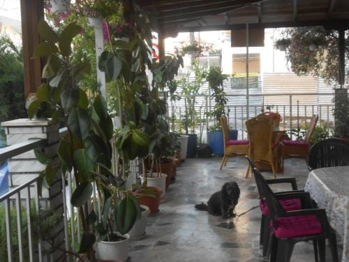 Hotel Germany Hotel in Pieria, Greece