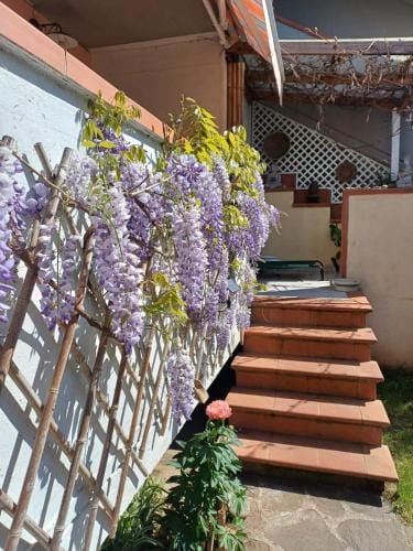 Casa dei glicini Hotel in Follonica