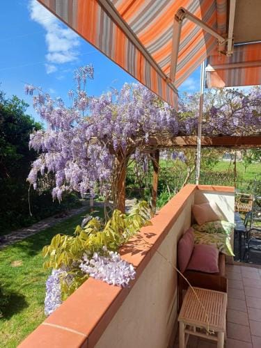 Casa dei glicini Hotel in Follonica