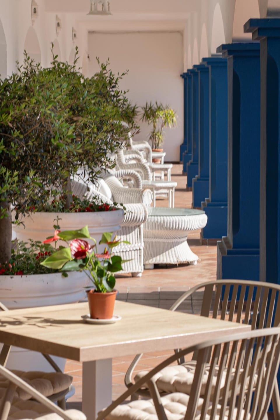 Hotel Piedra Paloma by Croma Hotel in Costa del Sol