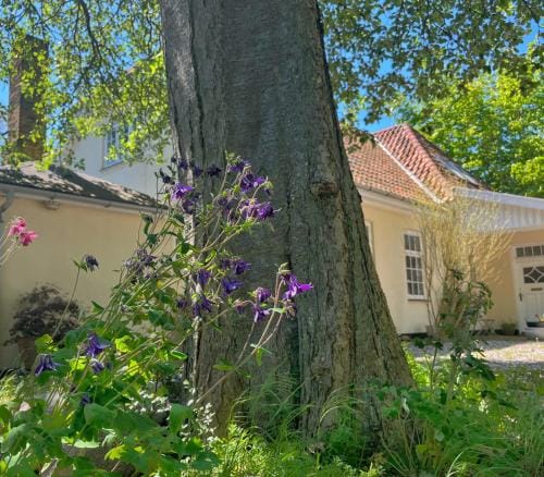 Brakilde B&B Hotel in Stege