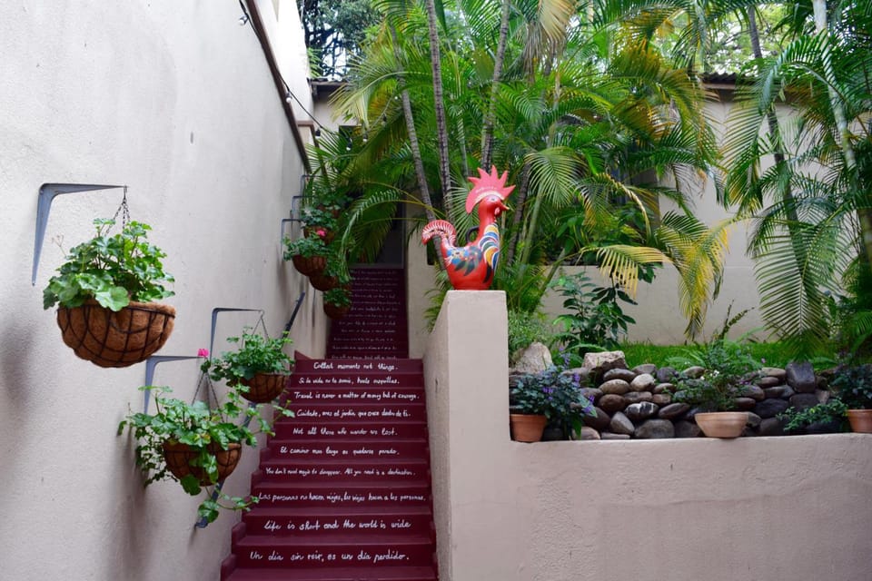 Palmira Hostel Hostel in Tegucigalpa