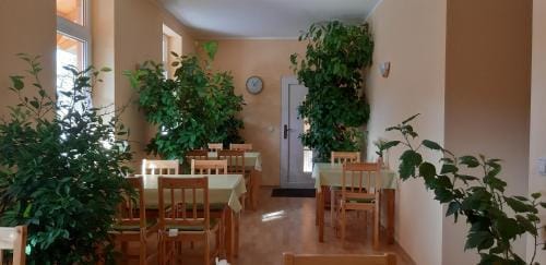 Pension Lehmann Hotel in Dresden