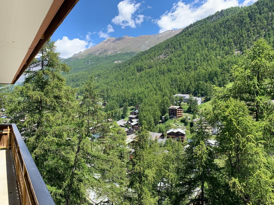 Appartements Zermatt Paradies Hotel in Zermatt