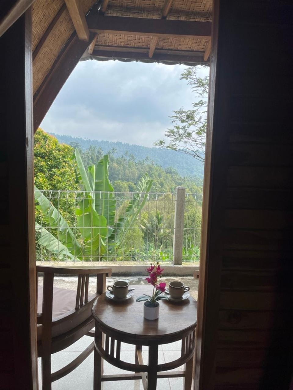 View