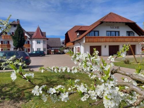 Ferienhof Mohr Hotel in Meersburg