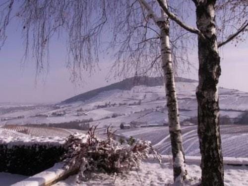 La Croix de Saburin Hotel in Auvergne-Rhône-Alpes