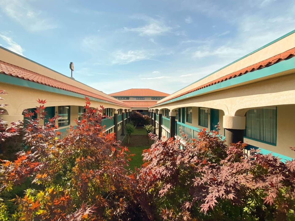 Exterior view