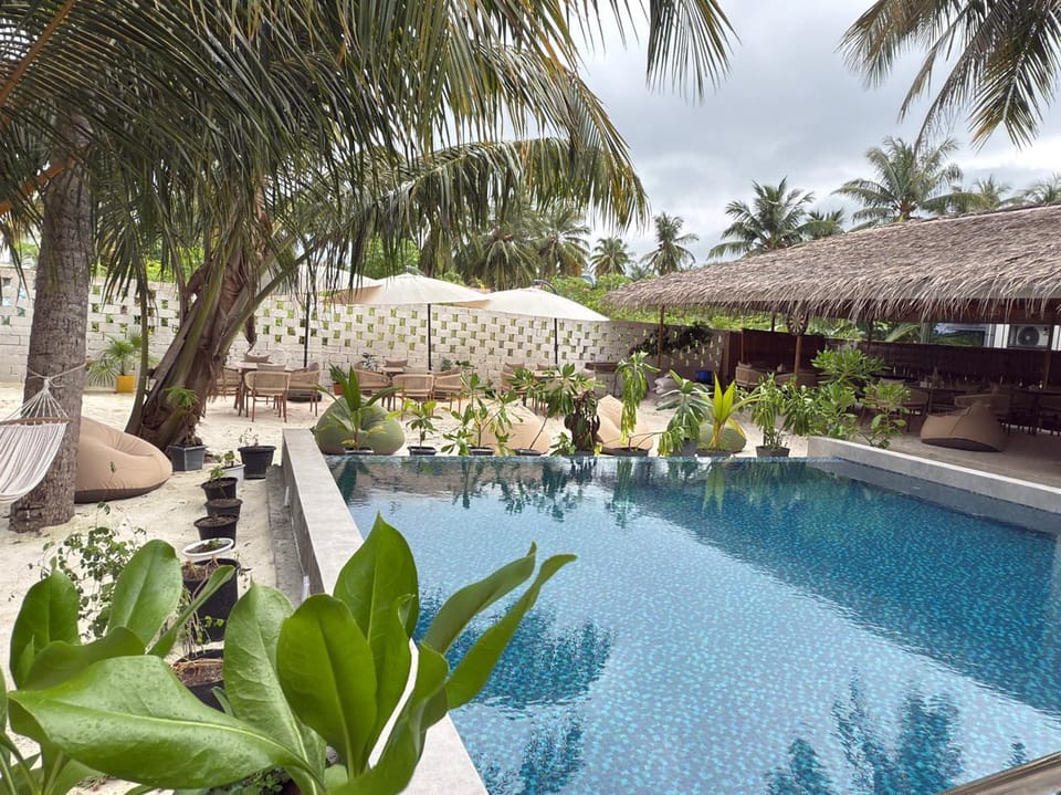 Swimming pool [outdoor]