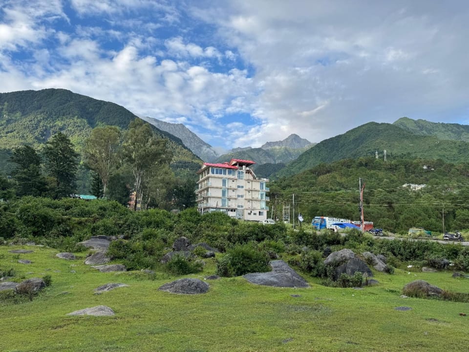 View
