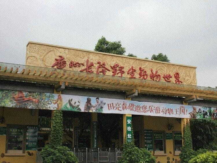 Ruicheng Apartment Hotel in Guangzhou