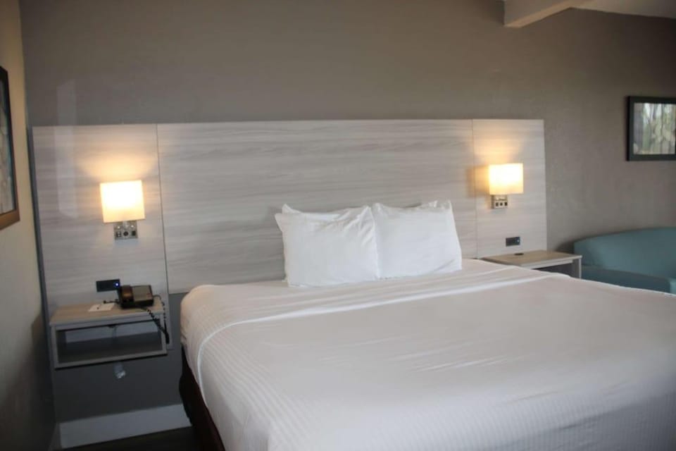 Quality Suites Hotel in Deerfield Beach