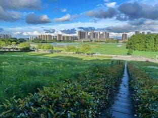 Blue Bay Holiday Hotel (Nanjing Youfangqiao Subway Station Branch) Hotel in Nanjing